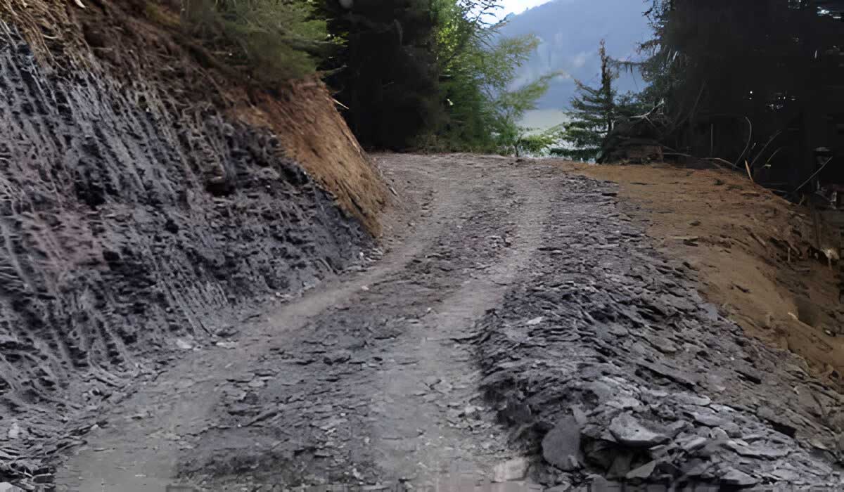 Terrassement pour création de piste forestière